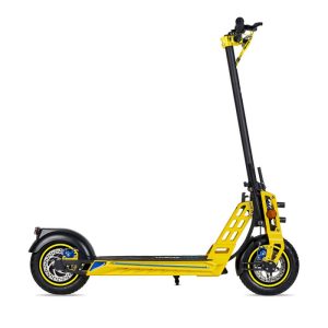 Patinete electico Ecoxtrem Bison 800W 13mah homologado DGT