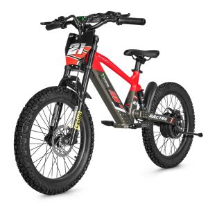 Bicicleta eléctrica xtreme 500W 36V 7.8mah  18 pulgadas